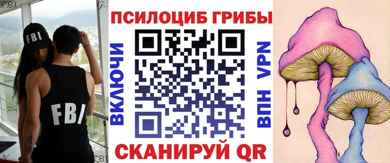 Галлюциногенные грибы Psilocybine cubensis  купить закладку  Бердск 